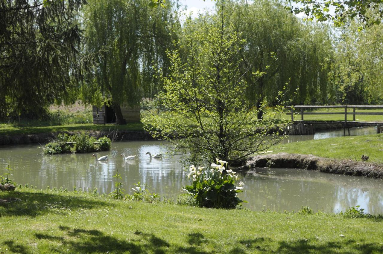 Domaine Ramonjavel, Glamping & Alpaca'S Bed & Breakfast Fongrave Exterior foto