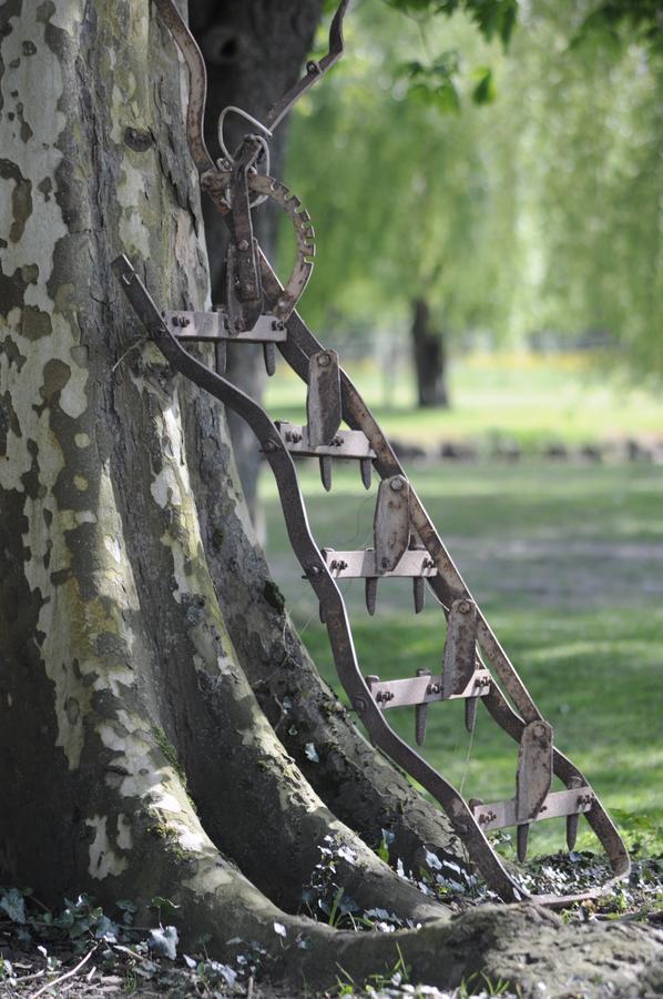Domaine Ramonjavel, Glamping & Alpaca'S Bed & Breakfast Fongrave Exterior foto