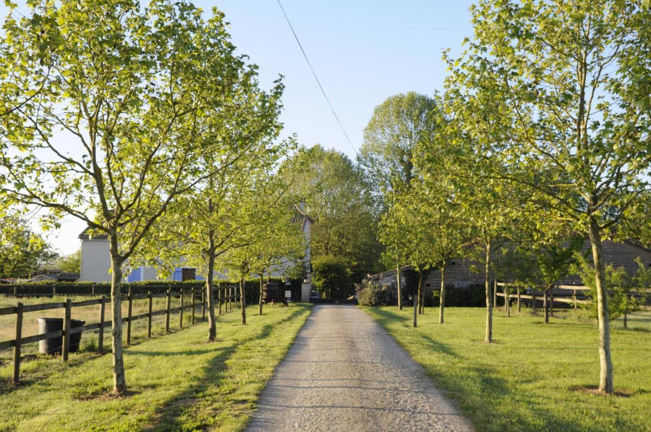 Domaine Ramonjavel, Glamping & Alpaca'S Bed & Breakfast Fongrave Exterior foto