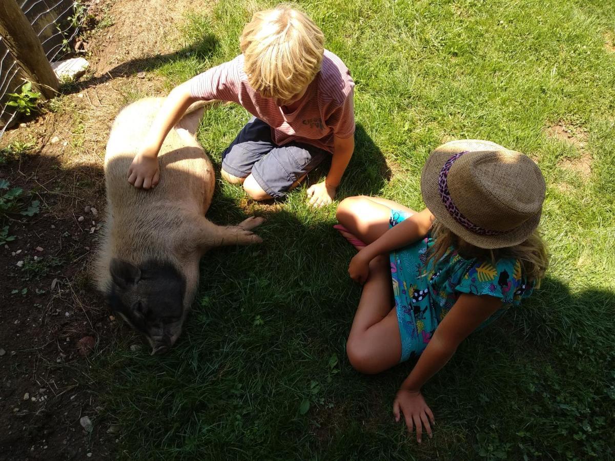 Domaine Ramonjavel, Glamping & Alpaca'S Bed & Breakfast Fongrave Exterior foto