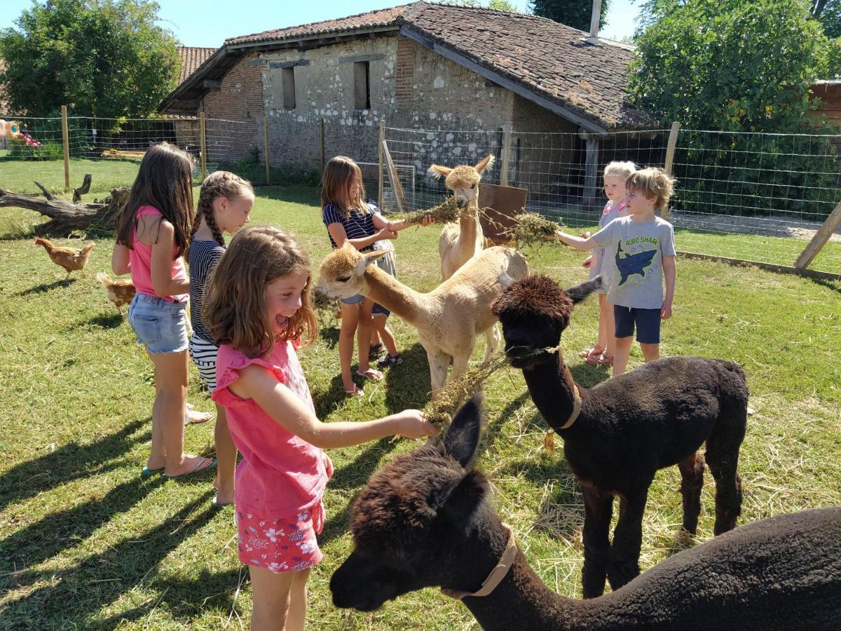 Domaine Ramonjavel, Glamping & Alpaca'S Bed & Breakfast Fongrave Exterior foto
